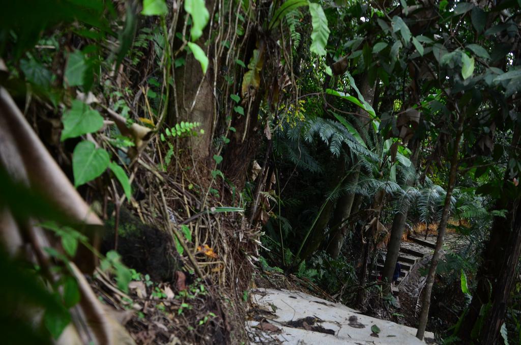 The Woodz Homestay Tanah Rata Buitenkant foto