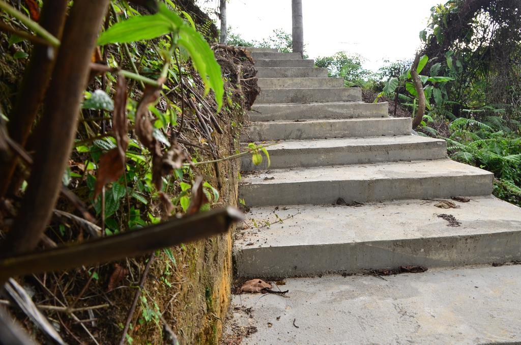 The Woodz Homestay Tanah Rata Buitenkant foto