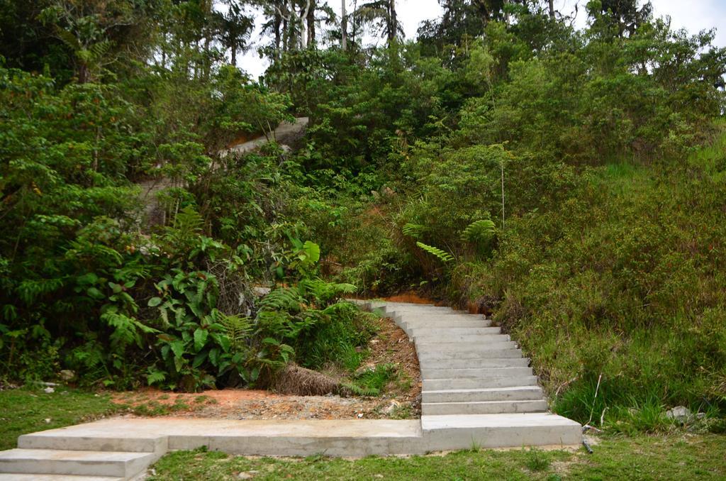 The Woodz Homestay Tanah Rata Buitenkant foto
